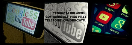 Zdjęcie: 7