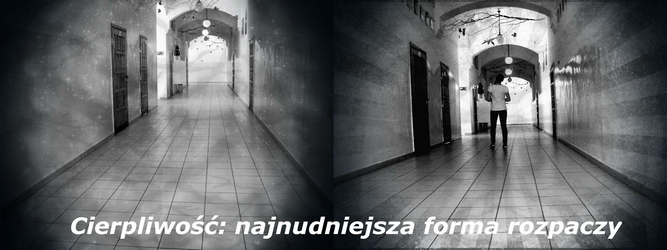 Klasa IIIA - rok szkolny 2013/14