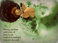 Weronika S.
