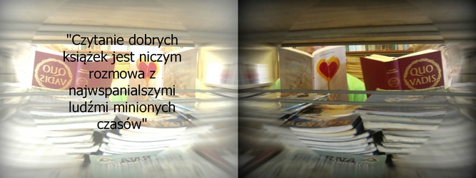 Grzegorz F.