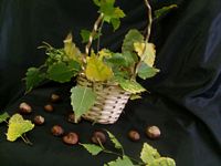 Zdjęcie: 2