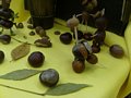 Zdjęcie: 25