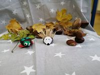 Zdjęcie: 35