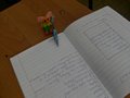 Zdjęcie: 71