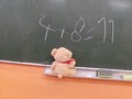 Zdjęcie: 16