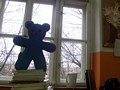 Zdjęcie: 23