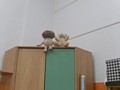 Zdjęcie: 29