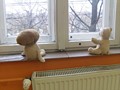 Zdjęcie: 31