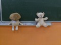 Zdjęcie: 34