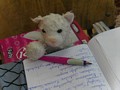 Zdjęcie: 39