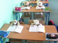 Zdjęcie: 4