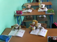 Zdjęcie: 56