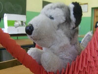 Zdjęcie: 6