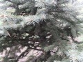 Zdjęcie: 23
