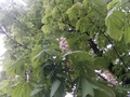Zdjęcie: 53