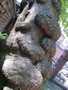 Zdjęcie: 10