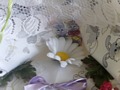 Zdjęcie: 19
