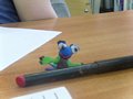 Zdjęcie: 22
