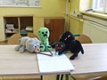 Zdjęcie: 31