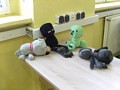 Zdjęcie: 32
