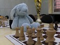 Zdjęcie: 41