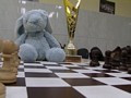 Zdjęcie: 42
