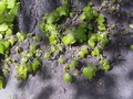 Zdjęcie: 19
