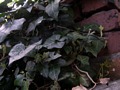Zdjęcie: 53