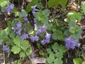 Zdjęcie: 58