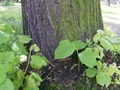 Zdjęcie: 16