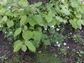 Zdjęcie: 29