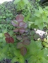 Zdjęcie: 53