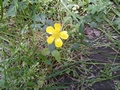 Zdjęcie: 56