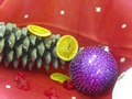 Zdjęcie: 34
