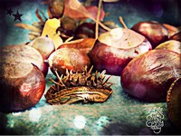 Grafiki: 2