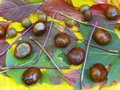 Zdjęcie: 54