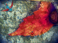 Grafiki: 1
