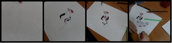 Zdjęcie: 11