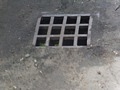Zdjęcie: 101