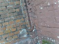 Zdjęcie: 105