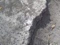 Zdjęcie: 17