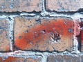 Zdjęcie: 19