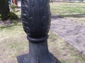 Zdjęcie: 46