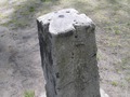 Zdjęcie: 47