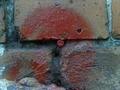 Zdjęcie: 58