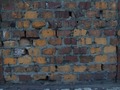 Zdjęcie: 59