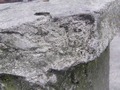 Zdjęcie: 67