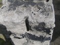 Zdjęcie: 6
