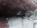 Zdjęcie: 71