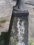 Zdjęcie: 87